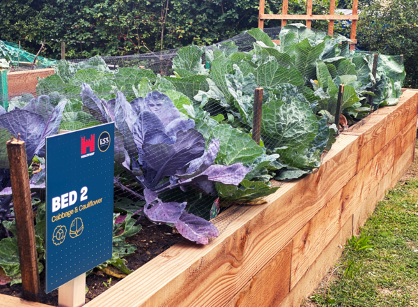 UKI-ESS-Community-Garden Community garden project