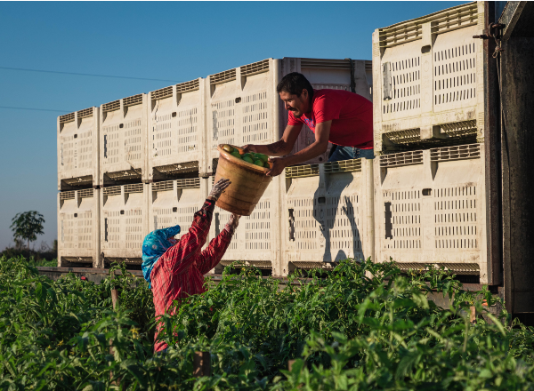 SME-Farmer-600x440 Small and medium-sized enterprise farmer working in field